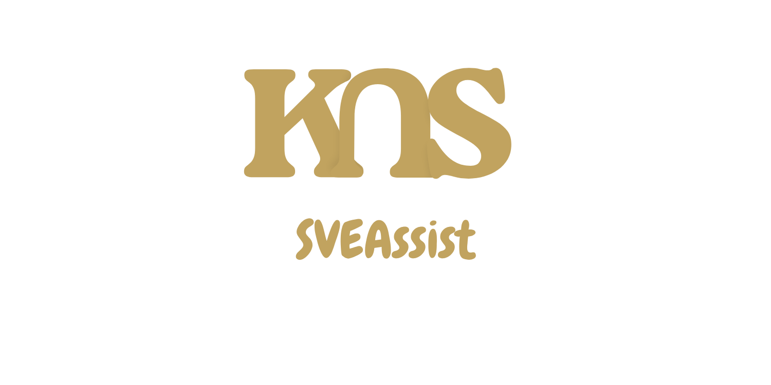 KnS SVEAssist Logo